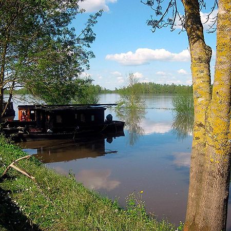 La Butte De Gohier Bed & Breakfast Blaison Bagian luar foto