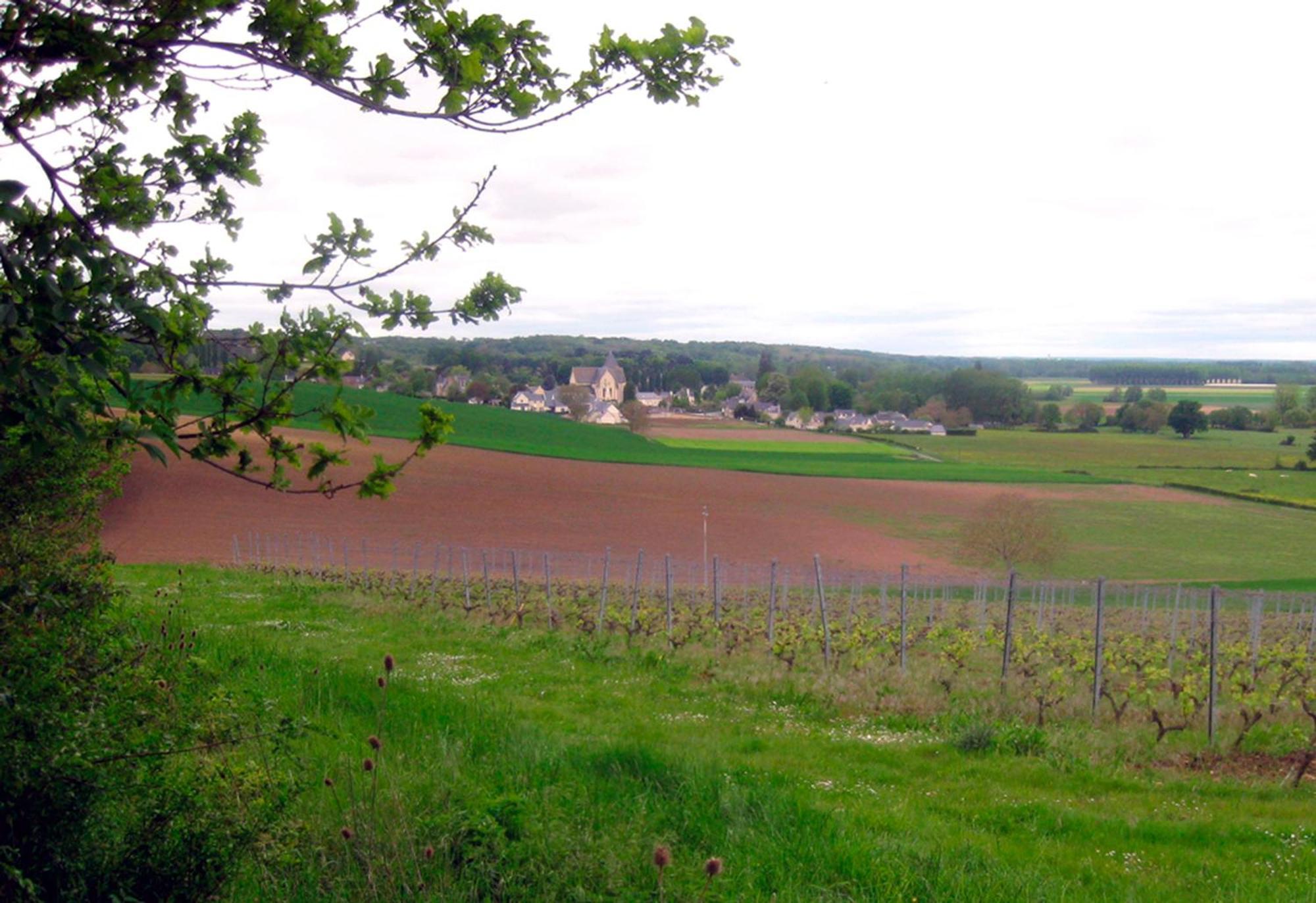 La Butte De Gohier Bed & Breakfast Blaison Bagian luar foto