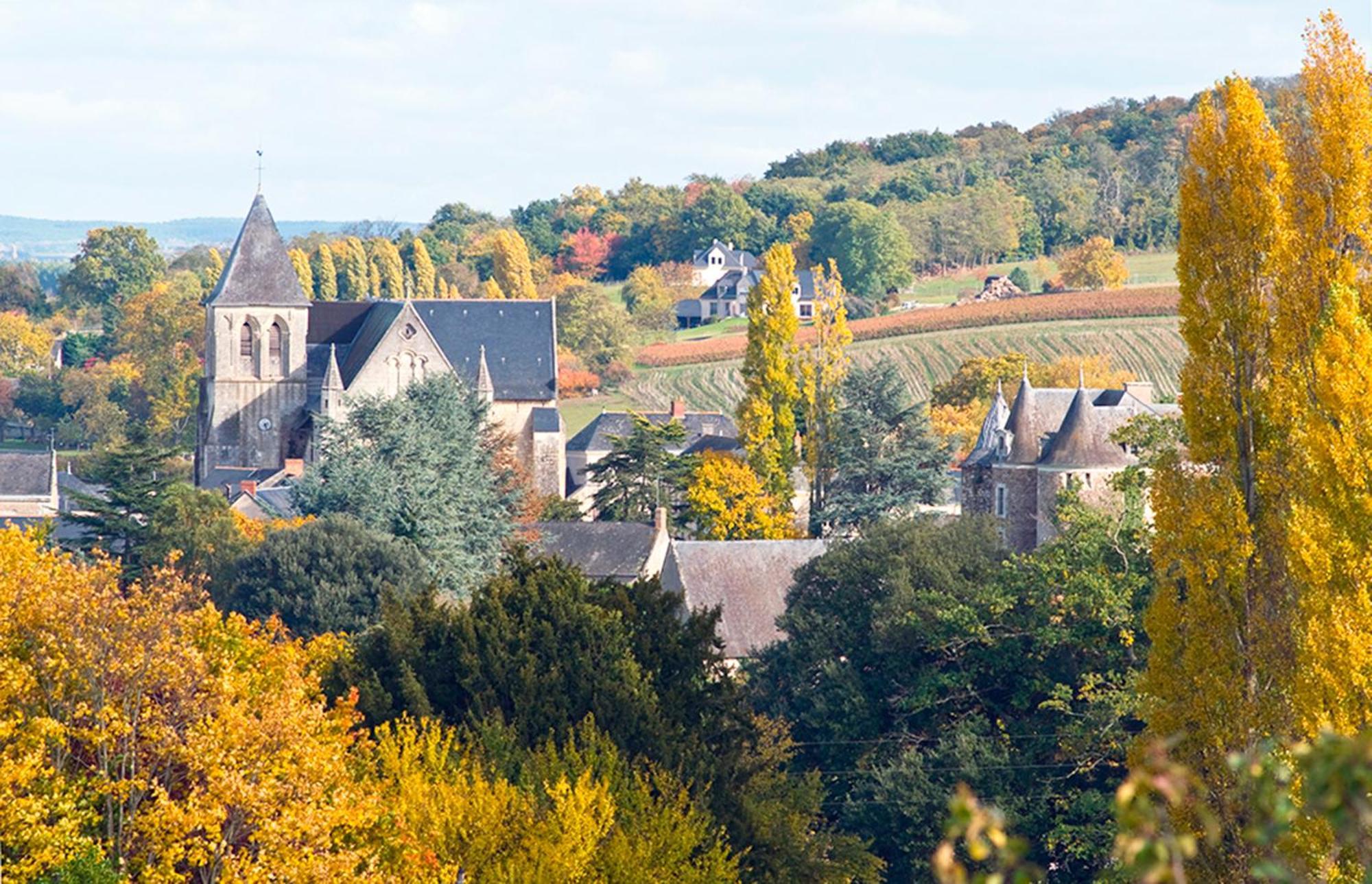 La Butte De Gohier Bed & Breakfast Blaison Bagian luar foto