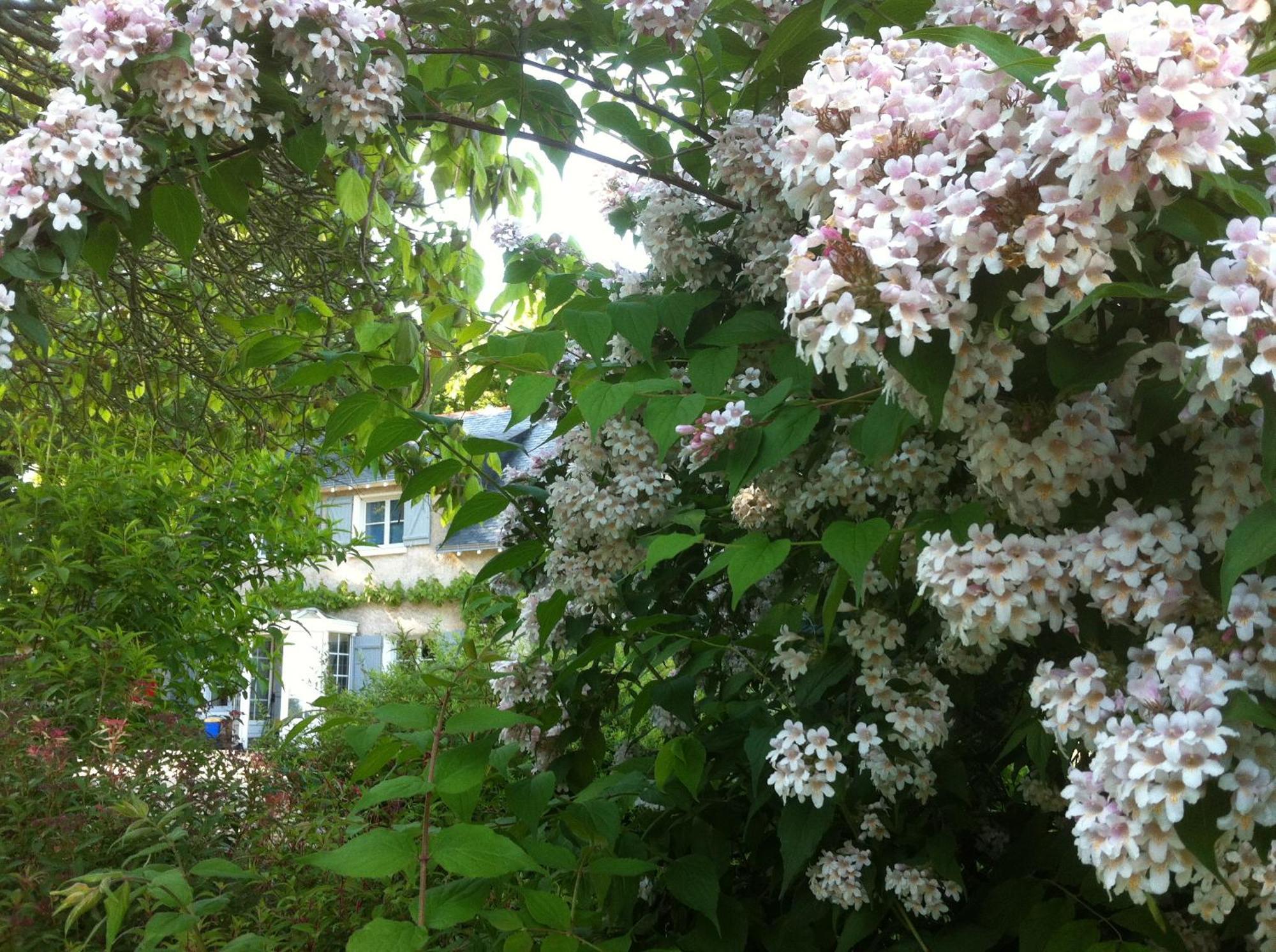 La Butte De Gohier Bed & Breakfast Blaison Bagian luar foto
