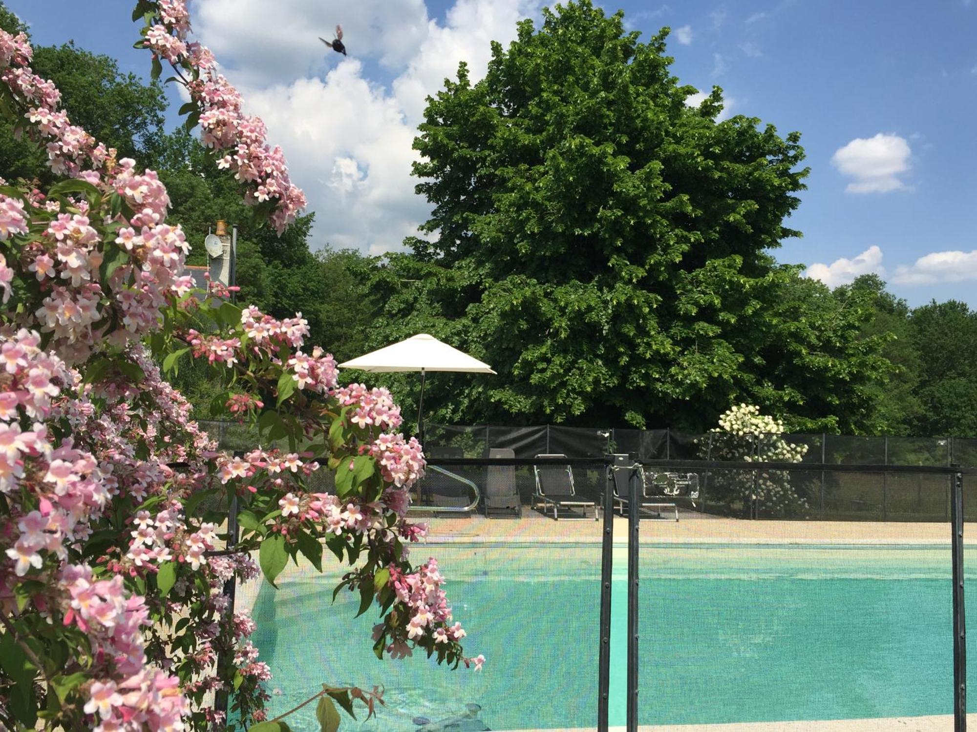 La Butte De Gohier Bed & Breakfast Blaison Bagian luar foto