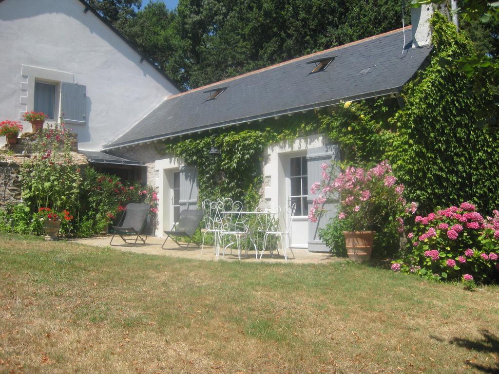 La Butte De Gohier Bed & Breakfast Blaison Bagian luar foto